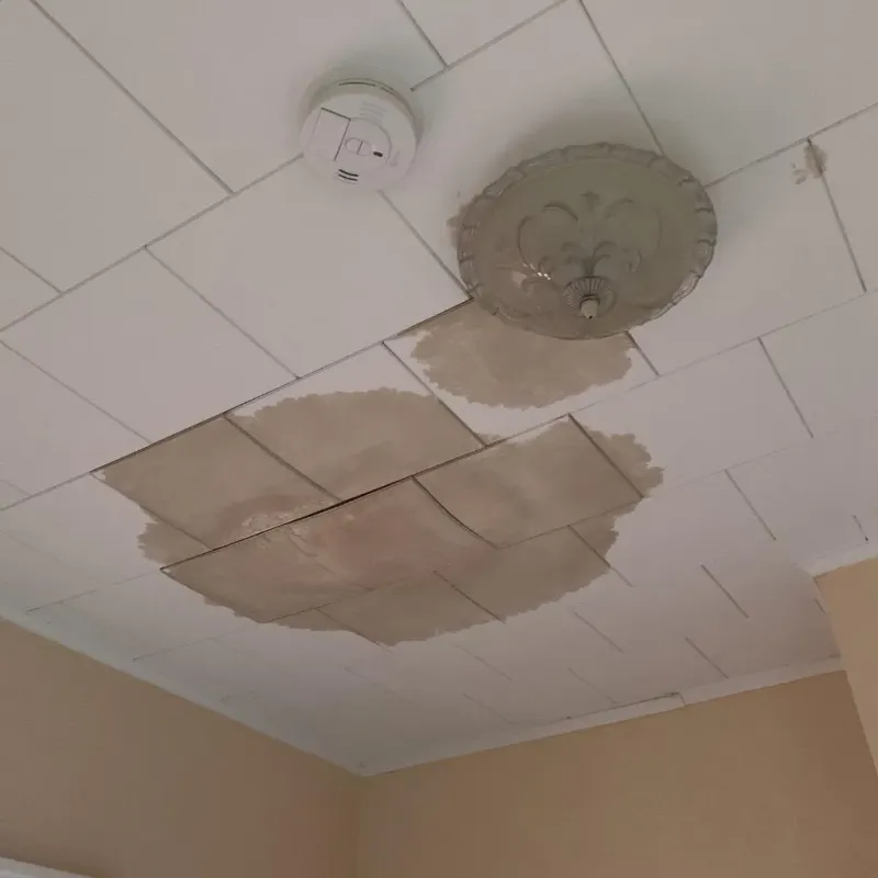Ceiling Water Damage Repair in Bandera County, TX