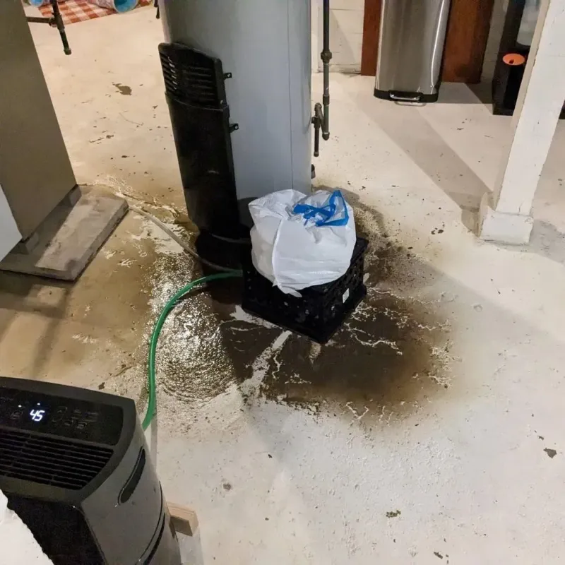 Sewage Backup Cleanup Service in Bandera County, TX
